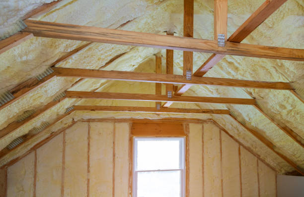 Best Insulation Inspection Services  in , KS