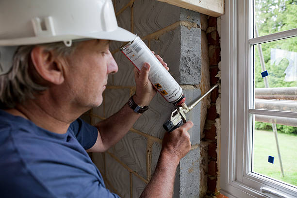 Best Insulation Replacement Services  in , KS