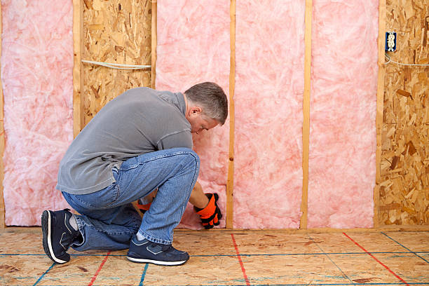 Best Professional Insulation Contractor  in , KS