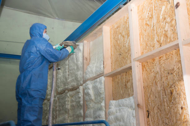 Best Insulation for New Construction  in , KS